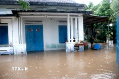 Nước lũ gây ngập nhiều nhà dân ở thôn Hội Nhơn, xã Hàm Liêm. (Ảnh: Hồng Hiếu/TTXVN)