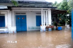 Nước lũ gây ngập nhiều nhà dân ở thôn Hội Nhơn, xã Hàm Liêm. (Ảnh: Hồng Hiếu/TTXVN)