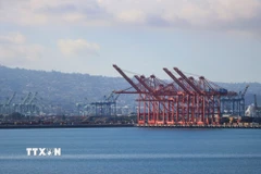 Quang cảnh cảng hàng hóa Long Beach, California, Mỹ. (Ảnh: THX/TTXVN)