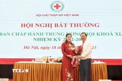Ông Nguyễn Phi Long, Phó Bí thư Đảng ủy Mặt trận Tổ quốc, các đoàn thể Trung ương chúc mừng tân Chủ tịch Trung ương Hội Chữ thập Đỏ Việt Nam. (Ảnh: Hạnh Quyên/TTXVN)