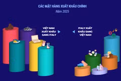 Thương mại song phương giữa hai nước Việt Nam và Italy