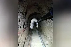 Đường hầm bí mật dài 600m. (Nguồn: Fox10)