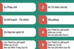 Cơ cấu tổ chức của Thanh tra Chính phủ