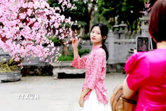 Người dân lưu lại những khoảnh khắc ý nghĩa những ngày đầu Năm mới. (Ảnh: Hoàng Hùng/TTXVN)