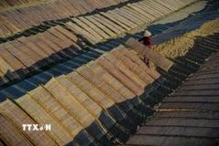 Lật giở bún, bánh trên giàn phơi. (Ảnh: Khánh Hòa/TTXVN)