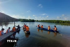 Du khách trải nghiệm bơi xuồng dưới tán rừng đước tại các xã biển thuộc Cù lao Bảo, tỉnh Vĩnh Long. (Ảnh: Chương Đài/TTXVN)