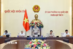 Chủ tịch Quốc hội Trần Thanh Mẫn phát biểu bế mạc phiên họp. (Ảnh: Doãn Tấn/TTXVN)