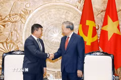 Tổng Bí thư, Chủ tịch nước Tô Lâm tiếp Đại sứ Mông Cổ tại Việt Nam Jigjee Sereejav. (Ảnh: Thống Nhất/TTXVN)