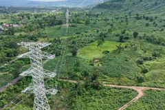 Ngày 9/1/2025, Hợp đồng tô nhượng dự án điện gió Savan 1 được trao thì chỉ 1 ngày sau, công tác xây dựng tuyến đường dây truyền tải từ Nhà máy về Việt Nam đã được tiến hành.