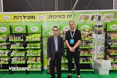 Tham tán Thương vụ Đại sứ quán Việt Nam Lê Thái Hòa tại một gian trưng bày. (Nguồn: Vietnam+)