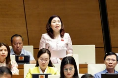 Đại biểu Quốc hội tỉnh Bắc Ninh Trần Thị Vân phát biểu. (Ảnh: Doãn Tấn/TTXVN)
