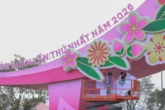 Công tác lắp đặt, căn chỉnh kết cấu được triển khai đồng thời tại nhiều khu vực để bảo đảm tiến độ chung. (Ảnh: Phan Phương/TTXVN)