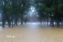 Kinh thành Huế, phường Phú Xuân, bị ngập sâu trong nước lũ. (Ảnh: Nguyên Lý/TTXVN)