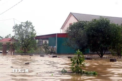 Hàng trăm hộ dân tổ dân phố Sơn Trình, phường Hà Huy Tập, Hà Tĩnh, nước ngập sâu ngày 3/11. (Ảnh: Công Tường/TTXVN)