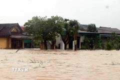 Hàng trăm hộ dân tổ dân phố Tiền Thượng, phường Hà Huy Tập nước ngập sâu. (Ảnh: Công Tường/TTXVN)