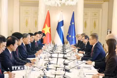 Tổng Bí thư Tô Lâm và Tổng thống Cộng hòa Phần Lan Alexander Stubb hội đàm. (Ảnh: Thống Nhất/TTXVN)