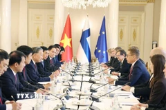 Tổng Bí thư Tô Lâm và Tổng thống Cộng hòa Phần Lan Alexander Stubb hội đàm. (Ảnh: Thống Nhất/TTXVN)