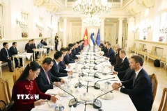 Tổng Bí thư Tô Lâm và Tổng thống Cộng hòa Phần Lan Alexander Stubb hội đàm. (Ảnh: Thống Nhất/TTXVN)