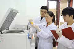 Ảnh minh họa. (Nguồn: Viện Hàn lâm Khoa học và Công nghệ Việt Nam)