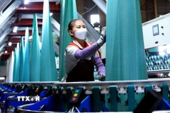 (Ảnh: Tuấn Anh/TTXVN)