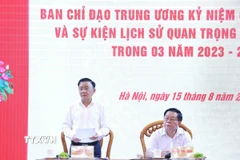 Ông Trần Cẩm Tú, Ủy viên Bộ Chính trị, Thường trực Ban Bí thư, Trưởng Ban Chỉ đạo Trung ương phát biểu chỉ đạo cuộc họp. (Ảnh: Phương Hoa/TTXVN)