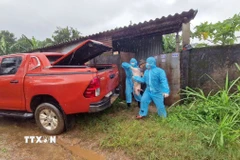 Chính quyền địa phương tổ chức đưa số lợn con của trang trại ông Ng.V.Th đi tiêu hủy. (Ảnh: TTXVN phát)