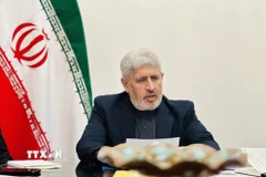 Đại biện lâm thời Cộng hòa Hồi giáo Iran tại Việt Nam Mohammad Mirali Mohammadi thông tin cập nhật với báo chí Việt Nam về những diễn biến mới nhất tại nước này. (Ảnh: Việt Đức/TTXVN)