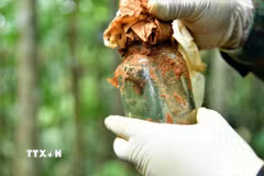 Lọ thủy tinh có chứa giấy nghi có thông tin được an táng kèm hài cốt liệt sỹ. (Ảnh: TTXVN phát)