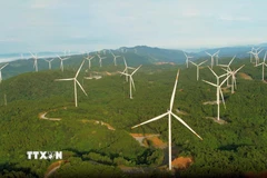Điện gió góp phần không nhỏ trong việc đảm bảo an ninh năng lượng. (Ảnh: Nguyên Linh/TTXVN)