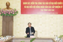 Phó Chủ tịch Quốc hội Lê Minh Hoan phát biểu tại buổi làm việc. (Ảnh: Tuấn Anh/TTXVN)