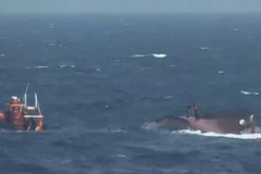 Lực lượng Bảo vệ Bờ biển Hàn Quốc tiến hành hoạt động cứu hộ sau khi một tàu cá bị lật. (Nguồn: Yonhap)