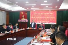 Phó Thủ tướng Chính phủ Bùi Thanh Sơn phát biểu chỉ đạo tại buổi làm việc. (Ảnh: Nguyễn Cường/TTXVN)