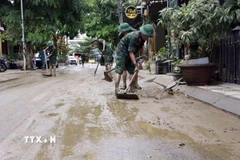 Bộ đội giúp nhân dân làm sạch, thu gom rác thải, tẩy rửa môi trường. (Ảnh: Trần Tĩnh/TTXVN)