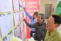Danh sách người ứng cử, cử tri tại mỗi khu vực bỏ phiếu đều được niêm yết công khai. (Ảnh: Thanh Tùng/TTXVN)