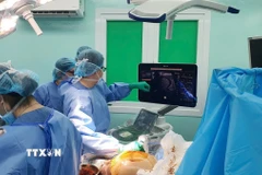 Các bác sỹ Bệnh viện Đại học Y dược Thành phố Hồ Chí Minh can thiệp tắc mạch khối u nhau thai để giúp thai nhi an toàn trong bụng mẹ. Ảnh: TTXVN phát