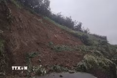Mưa lớn kéo dài từ ngày 5/7, đặc biệt trong đêm mùng 8 và rạng sáng 9/7 đã gây nhiều điểm sạt lở đất, cây đổ, ách tắc giao thông trên các tuyến Quốc lộ 6 và Quốc lộ 12 qua tỉnh Điện Biên. (Ảnh: TTXVN phát)