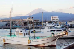 Cảng Numazu ở tỉnh Shizuoka, miền Trung Nhật Bản. (Nguồn: Japan-experience)