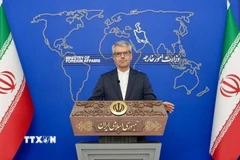 Người phát ngôn Bộ Ngoại giao Iran Esmaeil Baqaei phát biểu tại cuộc họp báo ở Tehran. (Ảnh: IRNA/TTXVN)