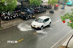 Ôtô lưu thông trong cơn mưa trái mùa chiều 6/1/2026 trên đường Kênh Tân Hóa, phường Tân Phú. (Ảnh: Hồng Đạt/TTXVN)