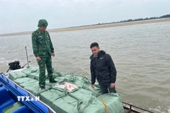 20 bao tải dứa màu xanh, bên trong chứa thịt vịt đông lạnh với tổng trọng lượng khoảng 1,2 tấn. (Ảnh: TTXVN phát)