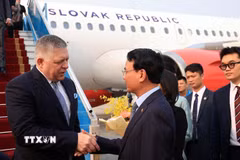 Bộ trưởng, Chủ nhiệm Văn phòng Chính phủ Đặng Xuân Phong đón Thủ tướng nước Cộng hòa Slovakia Robert Fico tại Sân bay quốc tế Nội Bài. (Ảnh: Tuấn Anh/TTXVN)