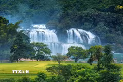 Thác Bản Giốc ở biên giới Việt-Trung. (Ảnh: Trọng Đạt/TTXVN)