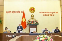 Phó Chủ tịch Thường trực Quốc hội Đỗ Văn Chiến phát biểu. (Ảnh: Doãn Tấn/TTXVN)