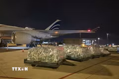 Các lô hàng được bốc dỡ xuống sân bay. (Ảnh: TTXVN phát)