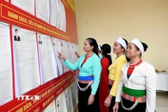 Nghiên cứu danh sách các ứng cử viên. (Ảnh: Tạ Toàn/TTXVN)