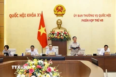 Phó Chủ tịch Quốc hội Nguyễn Khắc Định phát biểu. (Ảnh: Doãn Tấn/TTXVN)