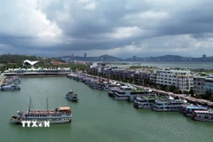 Đội tàu du lịch Hạ Long tại Cảng tàu khách quốc tế Tuần Châu. (Ảnh: Đức Hiếu/TTXVN)