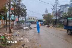 Lực lượng y tế Gia Lai khẩn trương xử lý môi trường ngay khi nước lũ rút. (Ảnh: Quang Thái/TTXVN)