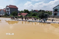 Người dân tập trung gia cố đê do nước sông Cầu dâng cao. (Ảnh: Hoàng Hiếu/TTXVN)