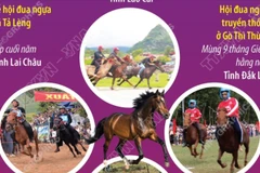 Một số lễ hội và giải đua ngựa truyền thống ở Việt Nam